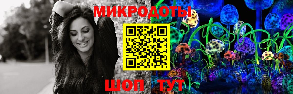 как найти закладки  Псилоцибиновые грибы Psilocybe  Вход с VPN  Галлюциногенные грибы мухоморы  Котовск 