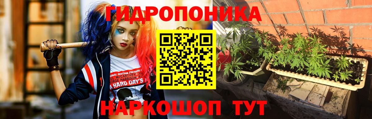 Канабис тримм  Марихуана план  Шишки марихуана Bruce Banner  Вход с VPN  Марихуана сатива  Котовск 