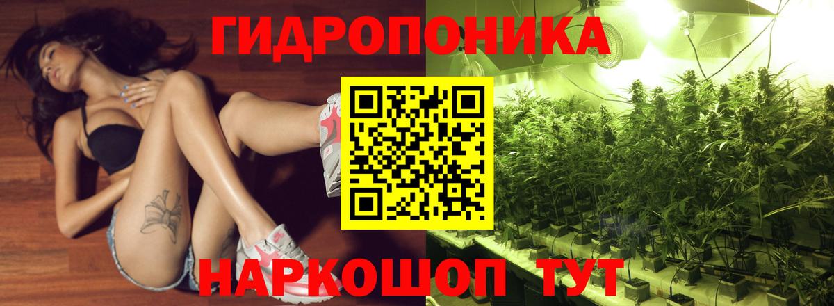 Канабис сатива Котовск